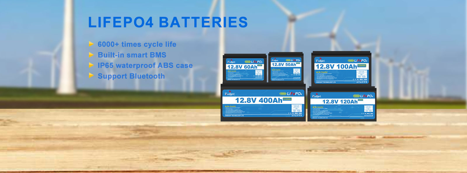quality Wall Mounted Lithium Battery factory
